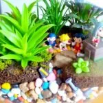 Vibrant terrarium with plants and colorful pebbles.