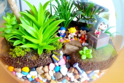 Vibrant terrarium with plants and colorful pebbles.