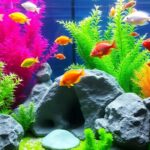 Colorful fish swimming in a lush aquarium with plants.