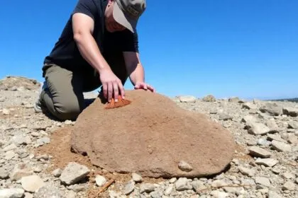 Person brushing dirt off a fossil in rocky terrain.